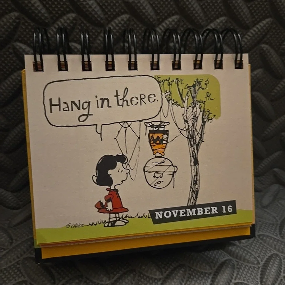 Peanuts DaySpring DayBrightener A Year’s Worth of Smiles and Blessings Calendar